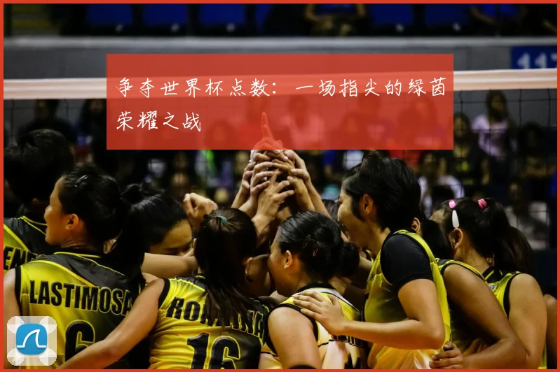 争夺世界杯点数：一场指尖的绿茵荣耀之战