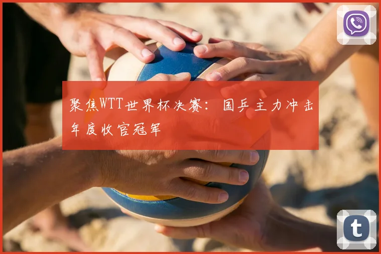 聚焦WTT世界杯决赛：国乒主力冲击年度收官冠军