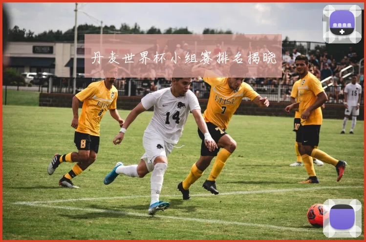 丹麦世界杯小组赛排名揭晓