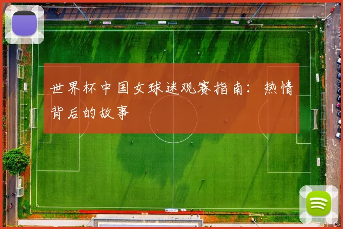 世界杯中国女球迷观赛指南:热情背后的故事