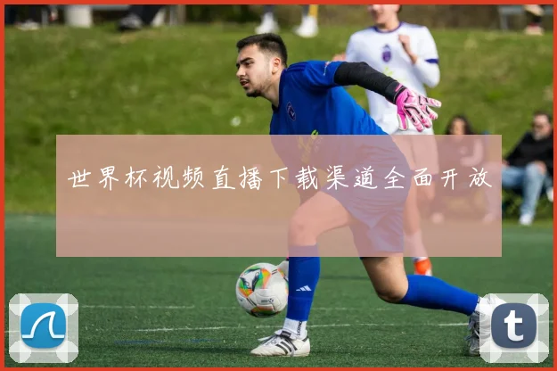 世界杯视频直播下载渠道全面开放
