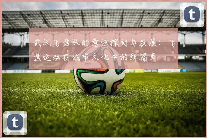 武汉飞盘队的意识探讨与发展：飞盘运动在城市文化中的新篇章