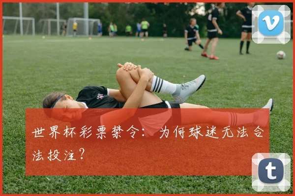 世界杯彩票禁令:为何球迷无法合法投注?