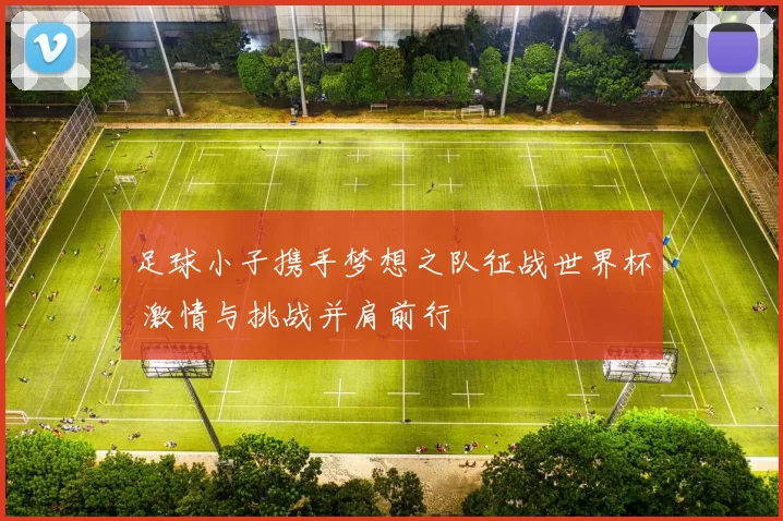 足球小子携手梦想之队征战世界杯 激情与挑战并肩前行