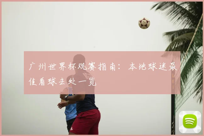 广州世界杯观赛指南:本地球迷最佳看球去处一览