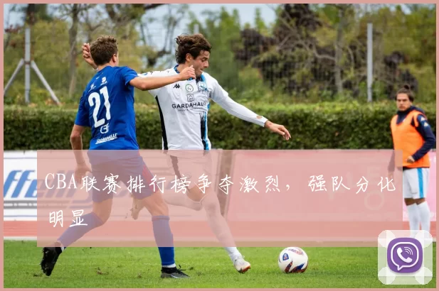 CBA联赛排行榜争夺激烈，强队分化明显