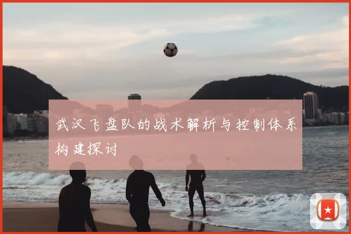 武汉飞盘队的战术解析与控制体系构建探讨