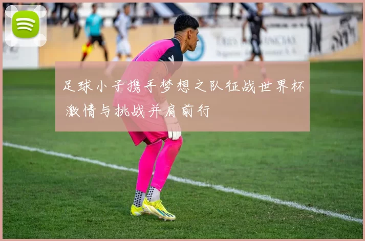 足球小子携手梦想之队征战世界杯 激情与挑战并肩前行