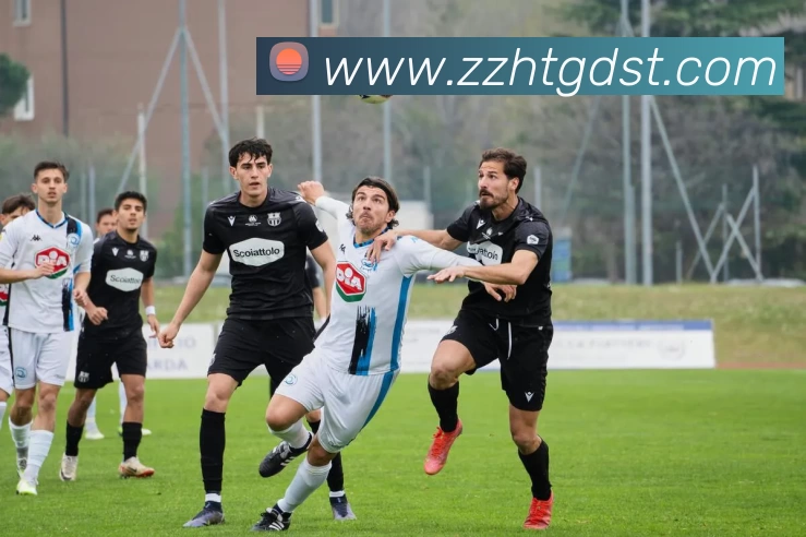 hth华体网站APP 封面图